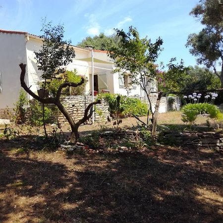 Bonifacio, Maison 90M² Sous Les Oliviers, Vue Sardaigne โบนิฟาซิโอ ภายนอก รูปภาพ