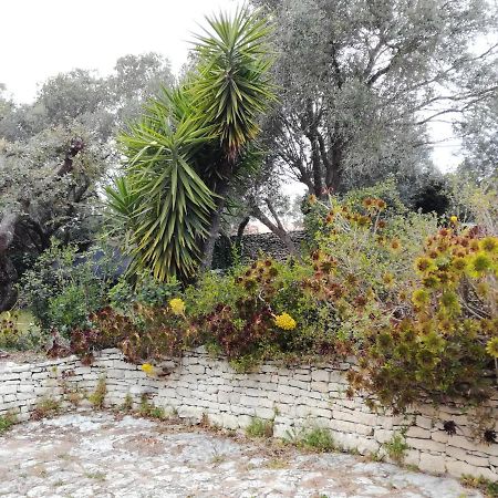 Bonifacio, Maison 90M² Sous Les Oliviers, Vue Sardaigne โบนิฟาซิโอ ภายนอก รูปภาพ