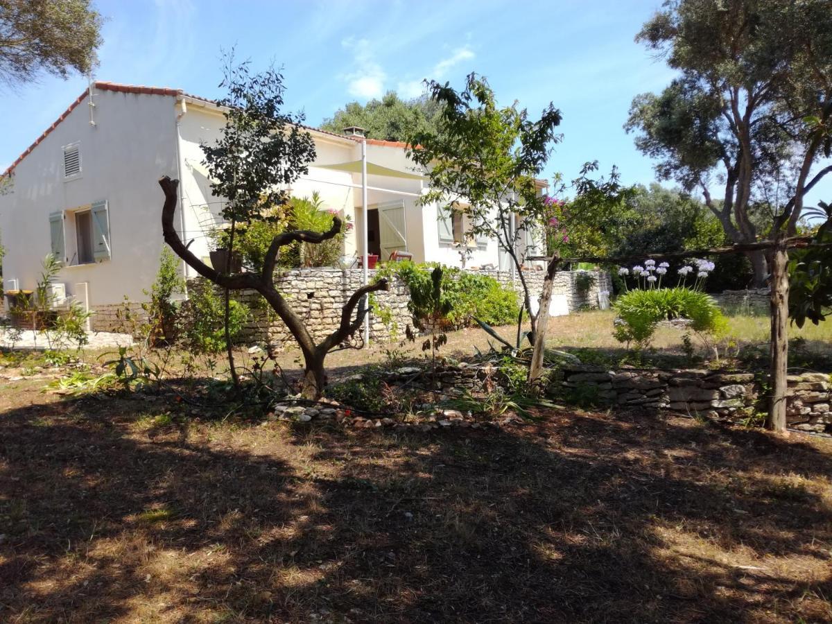 Bonifacio, Maison 90M² Sous Les Oliviers, Vue Sardaigne โบนิฟาซิโอ ภายนอก รูปภาพ