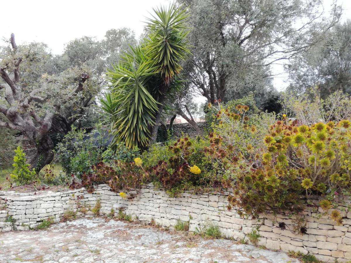 Bonifacio, Maison 90M² Sous Les Oliviers, Vue Sardaigne โบนิฟาซิโอ ภายนอก รูปภาพ
