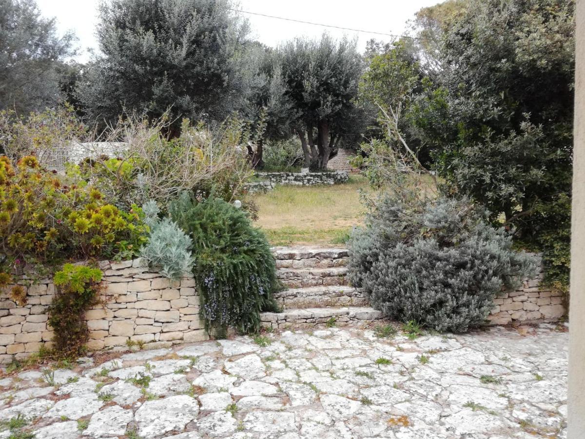 Bonifacio, Maison 90M² Sous Les Oliviers, Vue Sardaigne โบนิฟาซิโอ ภายนอก รูปภาพ